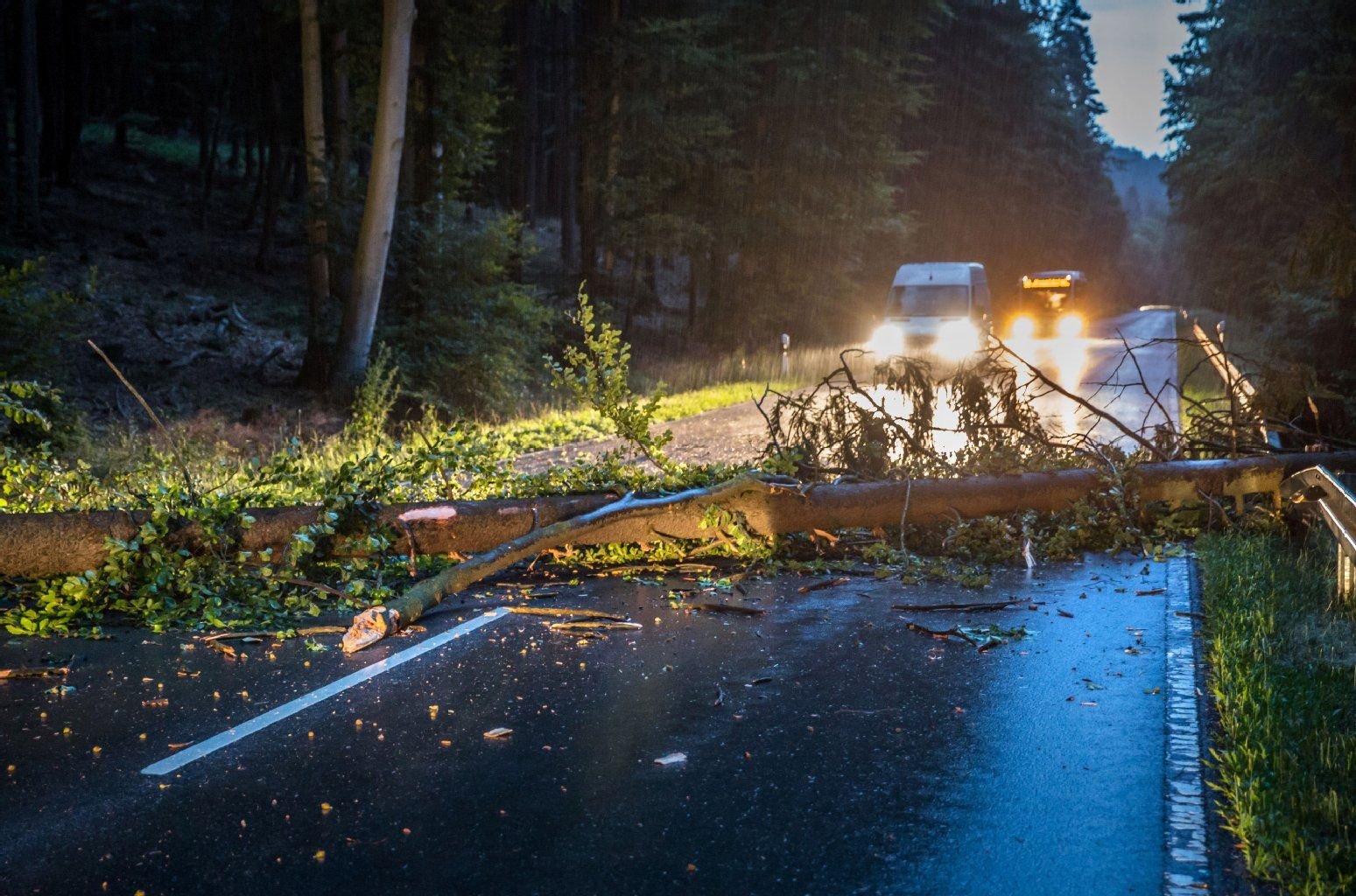 Ein umgestürzter Baum liegt am 06.07.2014 nach einem Unwetter auf der Landstraße in Hessen.