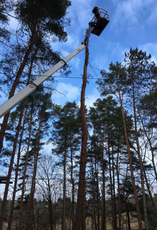 Am Wochenende hat Badbetreiber Nobel einen Hubsteiger kommen lassen, auf dem Arbeiter im Kletterwald Baumkronen abgesägt haben.