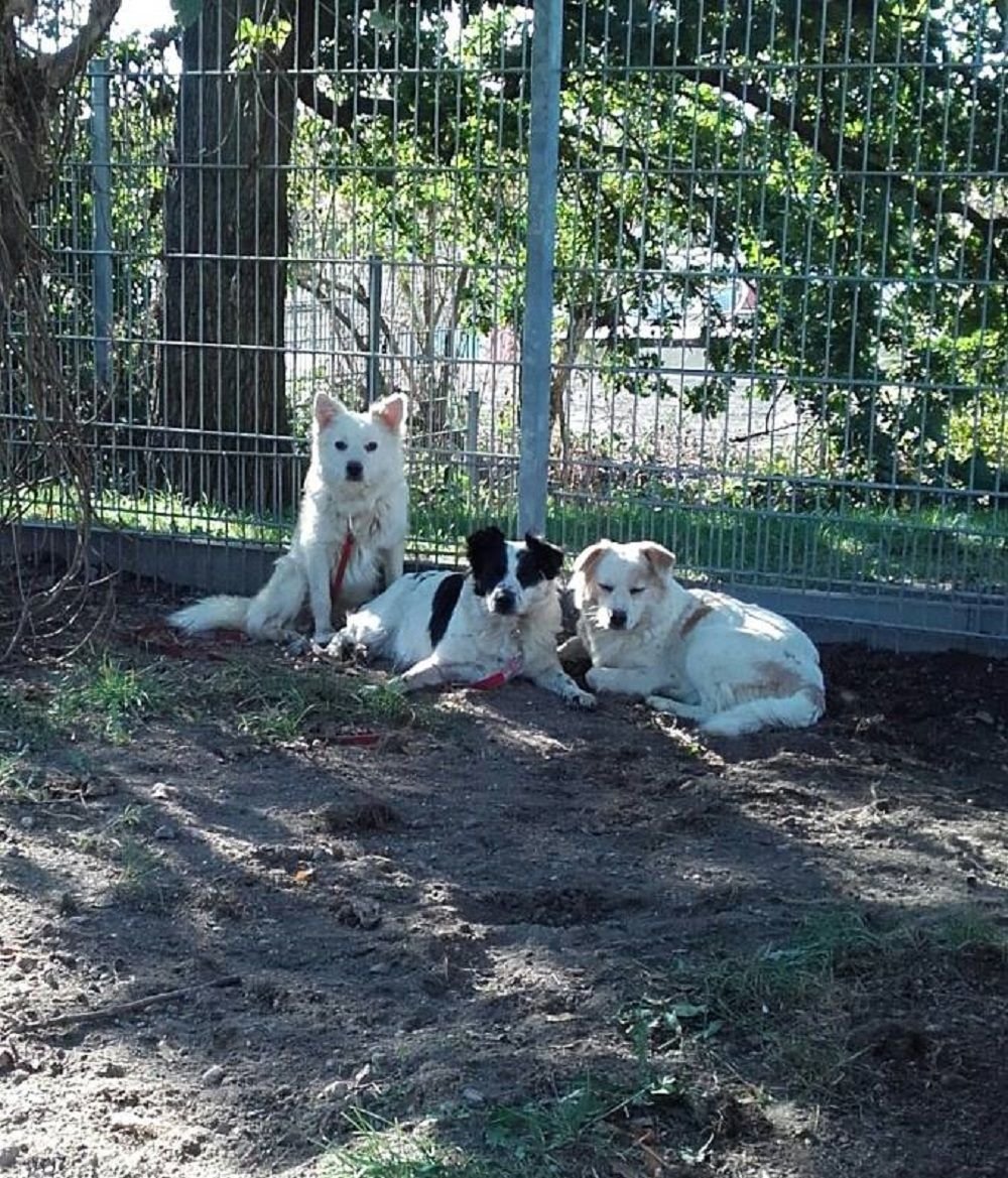 Das Trio bleibt auf Distanz.