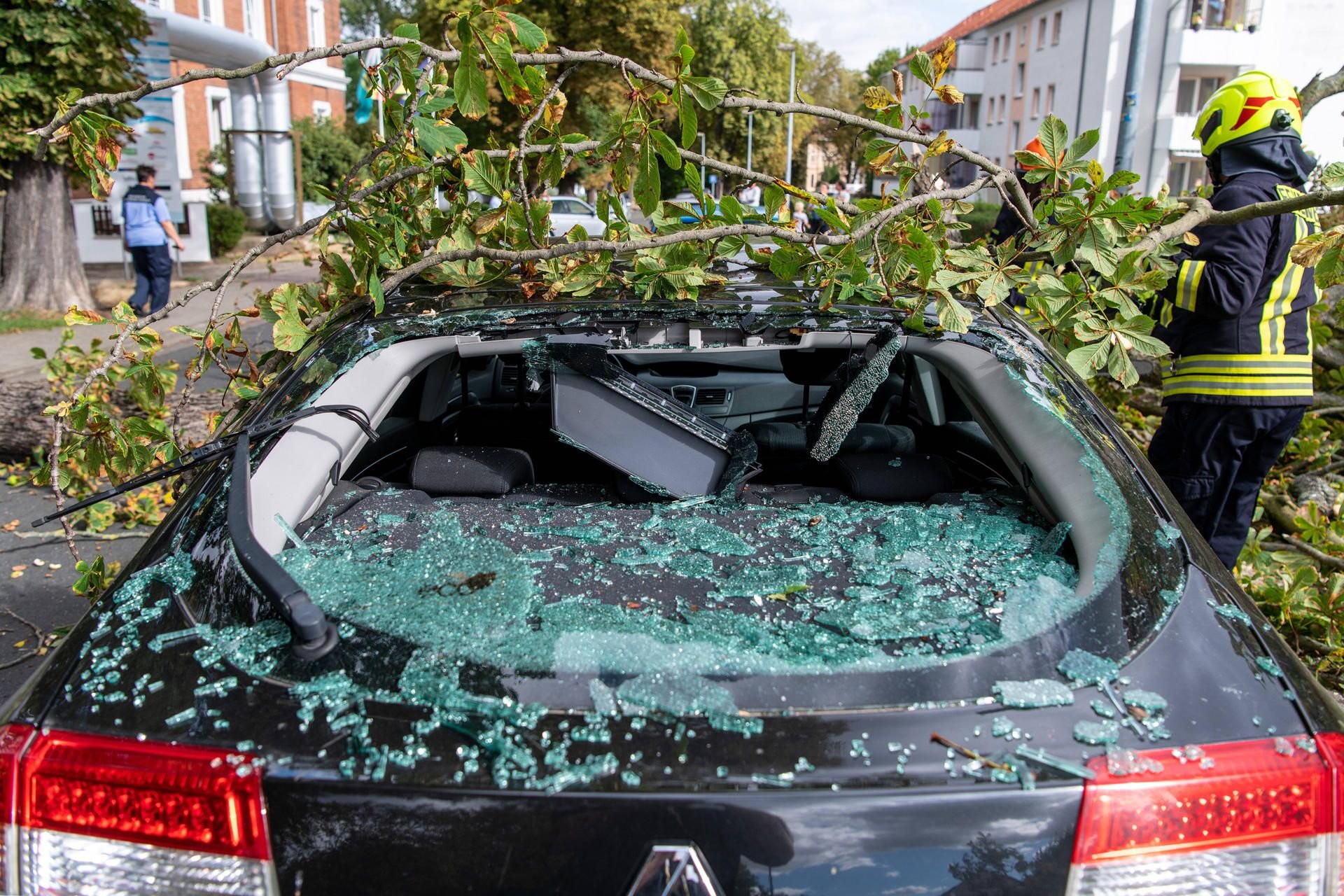 In Rochlitz, Landkreis Mittelsachsen, wurde ein geparkter PKW durch einen herabstürzenden Ast einer Kastanie beschädigt. Personen kamen nicht zu Schaden.
