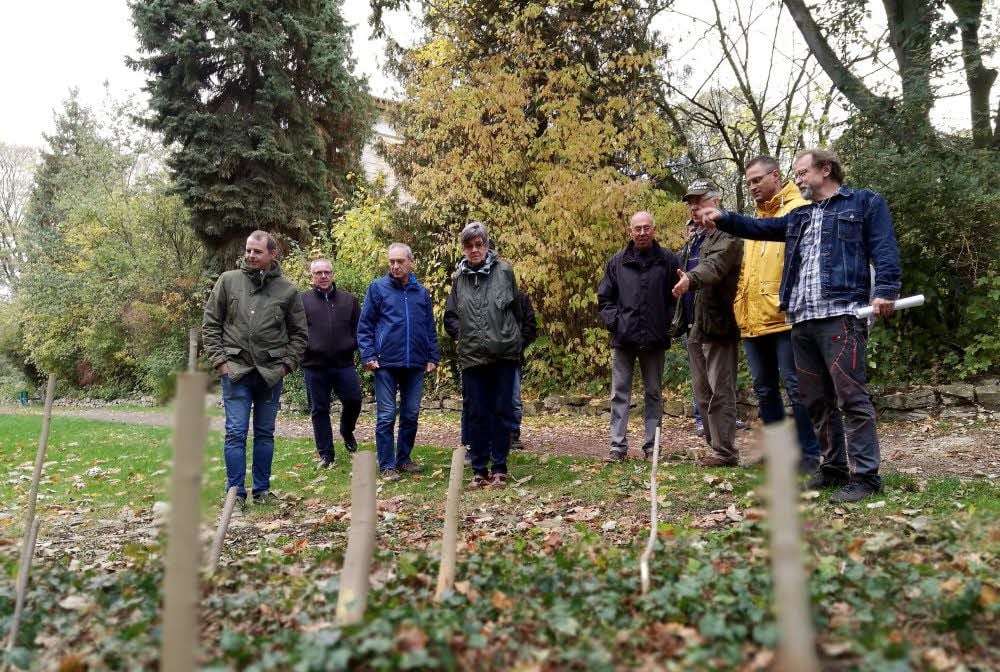 Seit April sind Öseg-Mitarbeiter dabei, Wildwuchs, wie hier im Vordergrund Ahornstangen, zu beseitigen und Wege wiederherzustellen. Öseg-Koordinator Norbert Rußwurm (r.) und Reinhard Kunert (3.v.r.) erläutern das Vorhaben vor Ortsbürgermeister Mario Lange (2. v.r.), Ortschaftsräten und Bürgern.