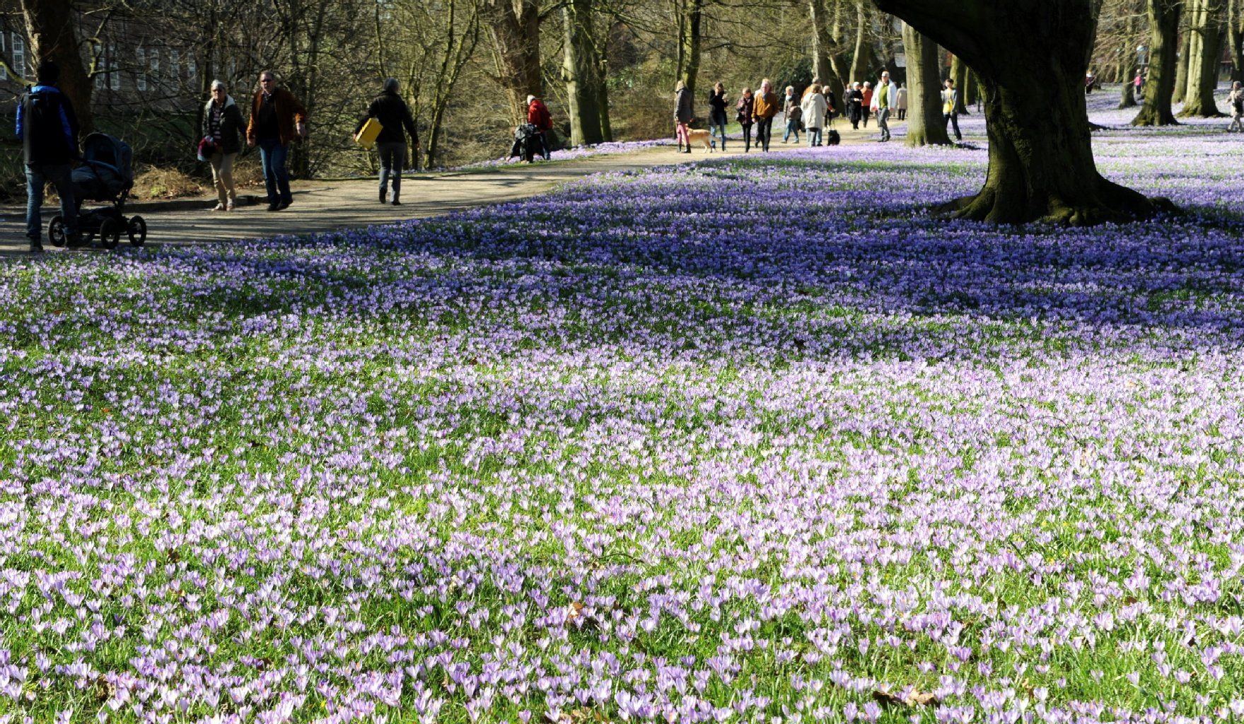 Am Freitag gibt es noch einmal sonniges Frühlingswetter.