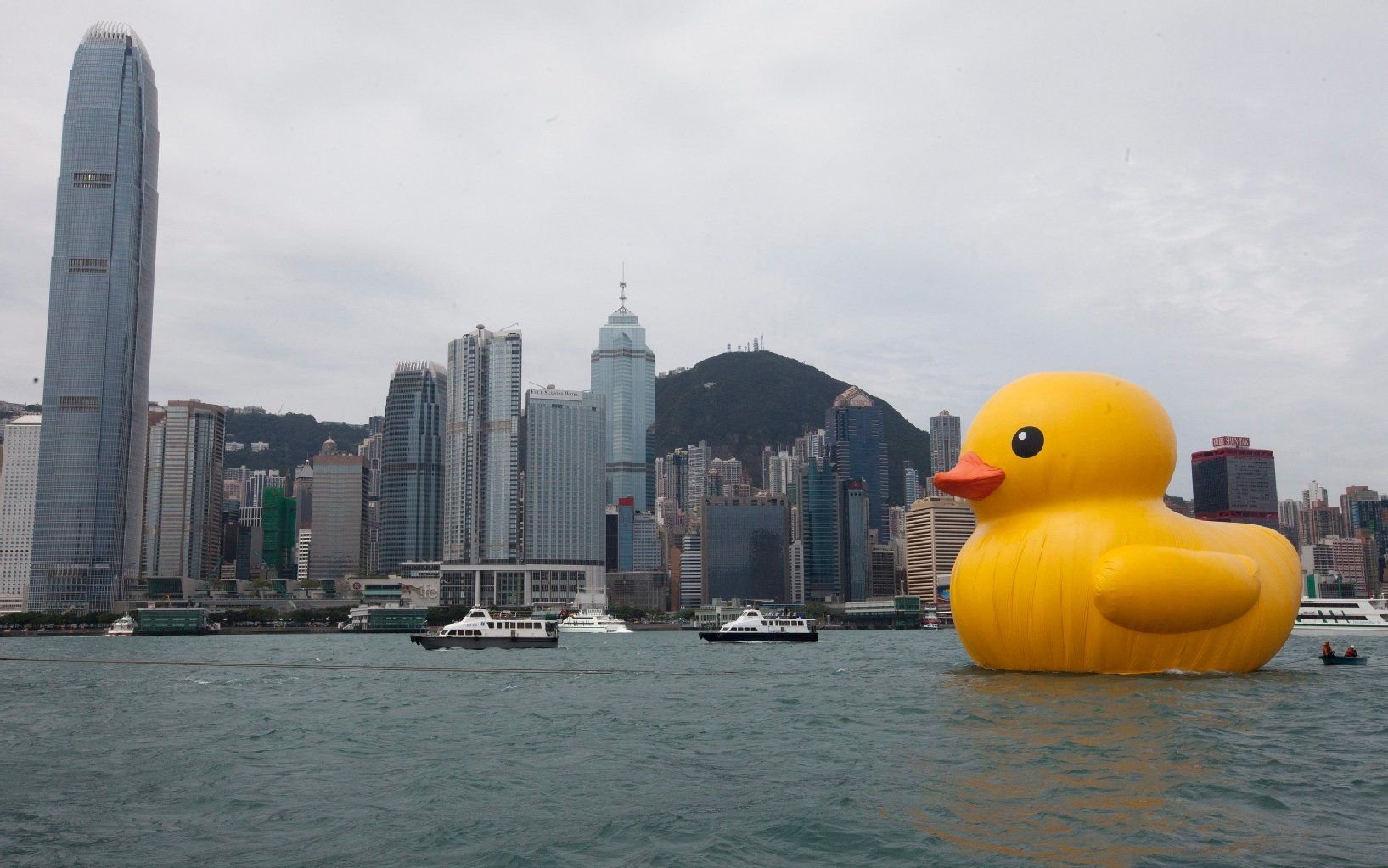 Diese riesige Gummi-Ente schwimmt im Victoria-Hafen von Hongkong im Süden Chinas. Geschaffen hat sie der holländische Künstler Florentijn Hofman. Die 10 Meter mal 11 Meter große und 13 Meter hohe Ente hat der Künstler bereits an zahlreiche Orte der Welt transportiert: „Weich und freundlich“ wie sie sei, habe sie heilende Eigenschaften, politische Spannungen und Diskriminierungen zu lindern.