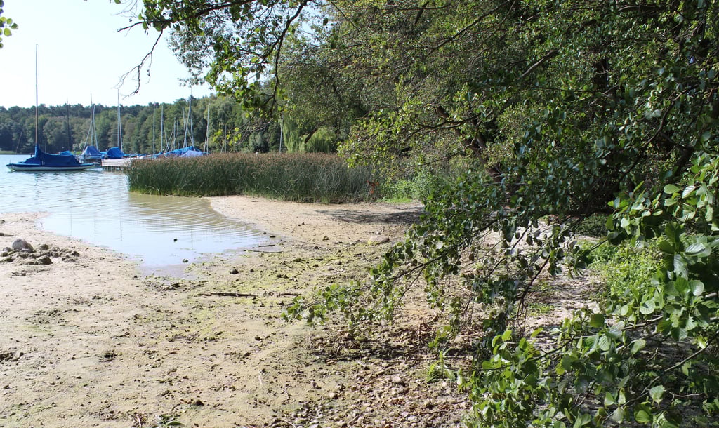 Der Arendsee im September 2019 nach zwei Dürrejahren: Damals hatte das Gewässer einen besonders niedrigen Wasserstand. Der Pegel lag 70 Zentimeter unter dem Durchschnittswert der Vorjahre.