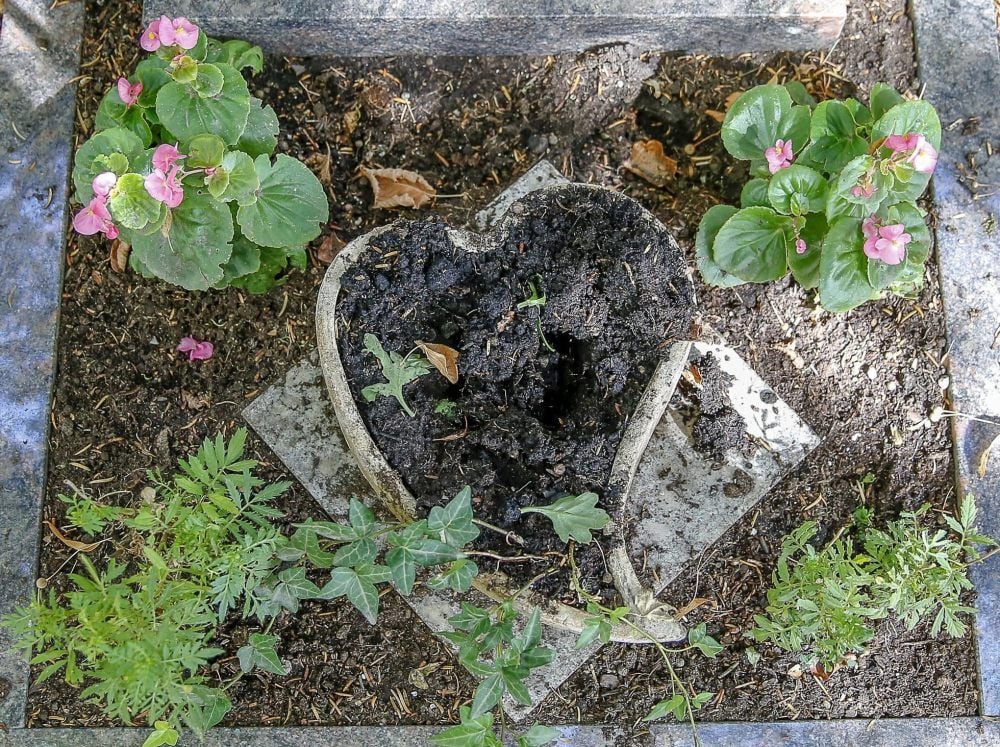 Angehörige sind immer wieder entsetzt, wenn sie an Gräbern ihrer Lieben stehen und dort wurden die Pflanzen geklaut.