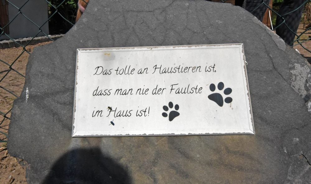 Die Mehringerin werkelt aber gern auf ihrem Fellhof herum.