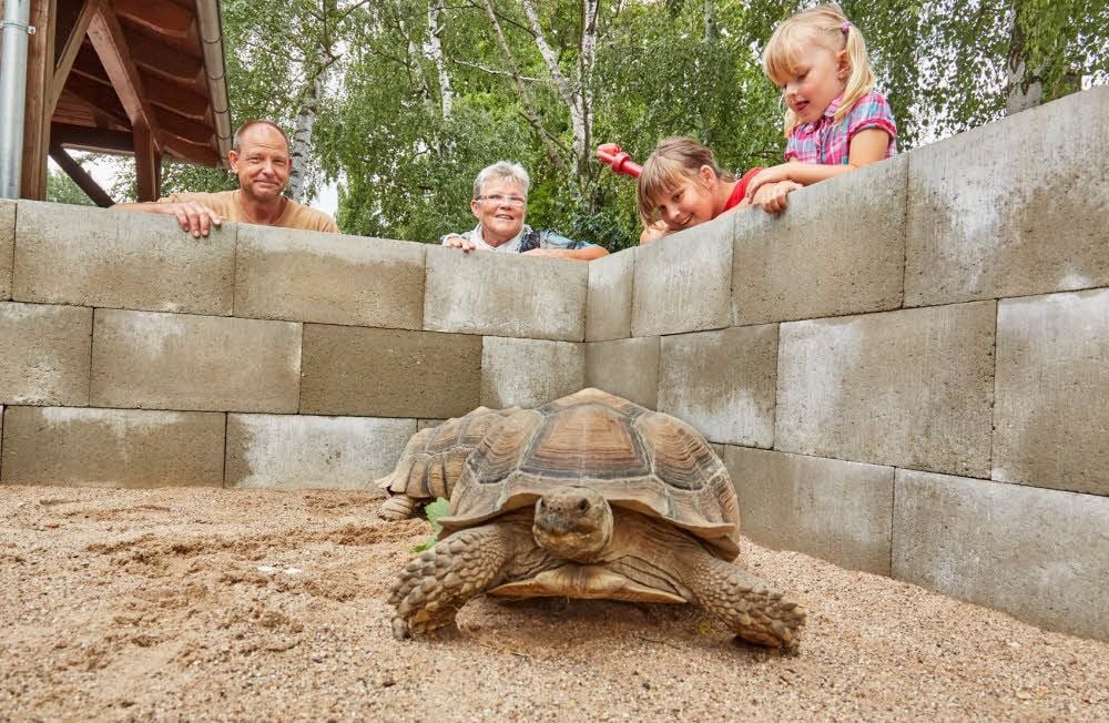Der Tiergarten war 2018 Bernburgs beliebteste Freizeiteinrichtung.
