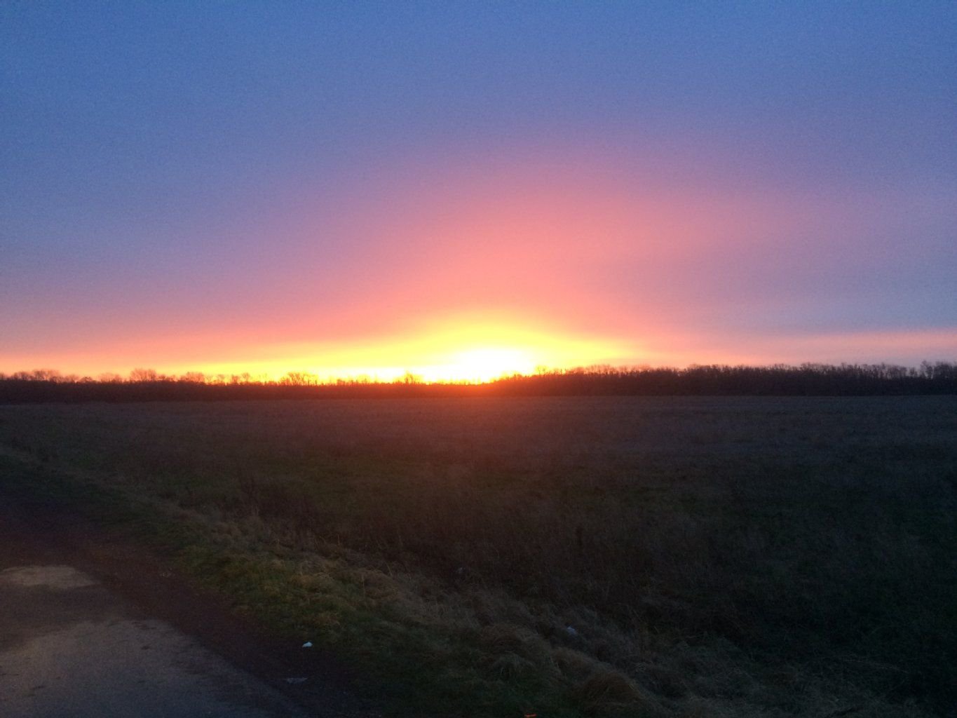 Sonnenaufgang am Donnerstag, 15. Januar, an der Europa-Chaussee.