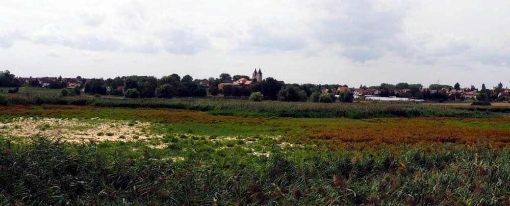 Die Froser Seeländereien sind ausgetrocknet, viele der seltenen Vögel verschwunden. Ob es noch Hoffnung gibt?