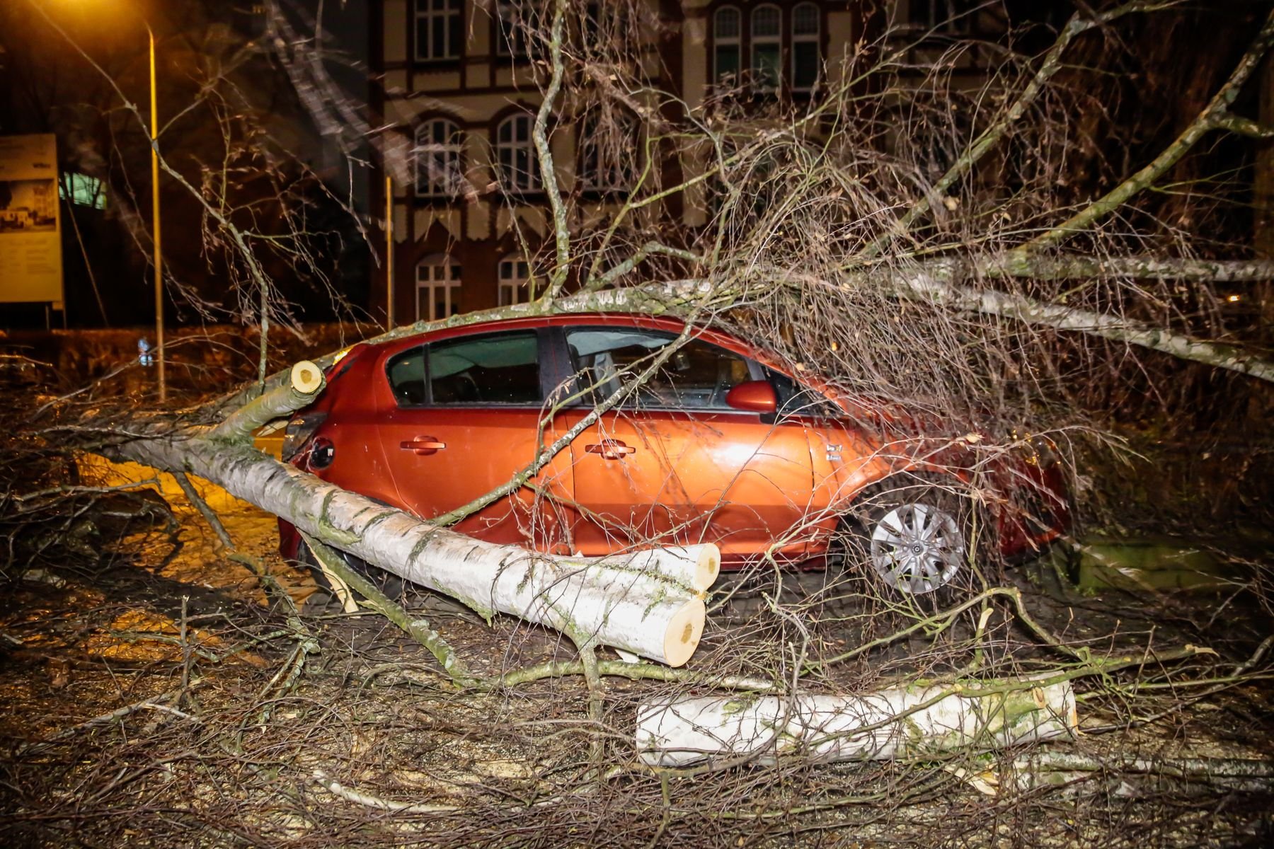 Ein nach Sturm umgestürzter Baum liegt in Wiesbaden (Hessen) auf einem Auto. Tief «Egon» hat mit starkem Sturm Verkehrsbehinderungen in Hessen verursacht.