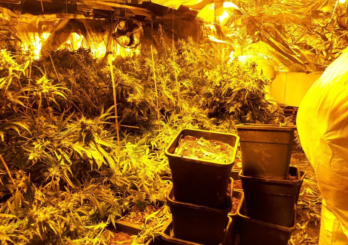 38 Kilogramm Marihuana fanden die Ermittler im ehemaligen „Horror-Haus“ von Höxter.