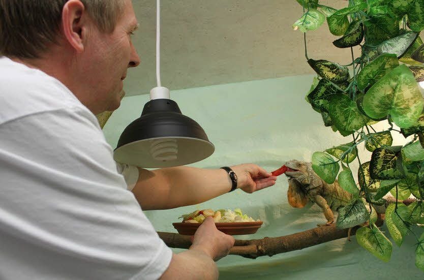 Rolf Schumann in der Reptilienauffangstation in Weißenfels.