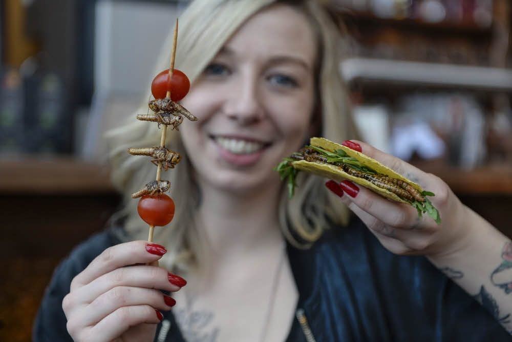 MZ-Volontärin Elisabeth Krafft hat im mexikanischen Restaurant „Espitas“ in Halle Heuschrecken und Schwarzkäferlarven probiert.
