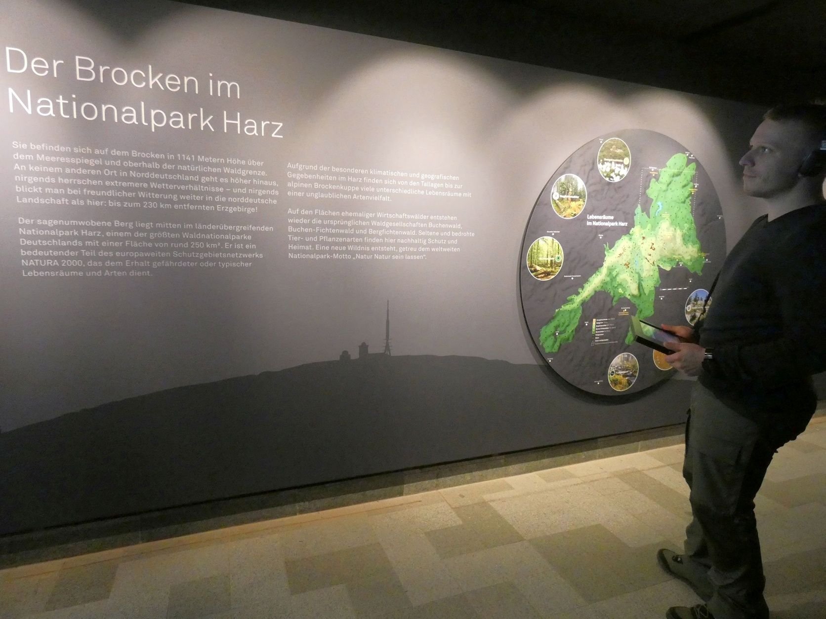 Die Ausstellung im Brockenhaus beschreibt die dort vorkommenden Tiere und Pflanzen in allen vier Jahreszeiten.