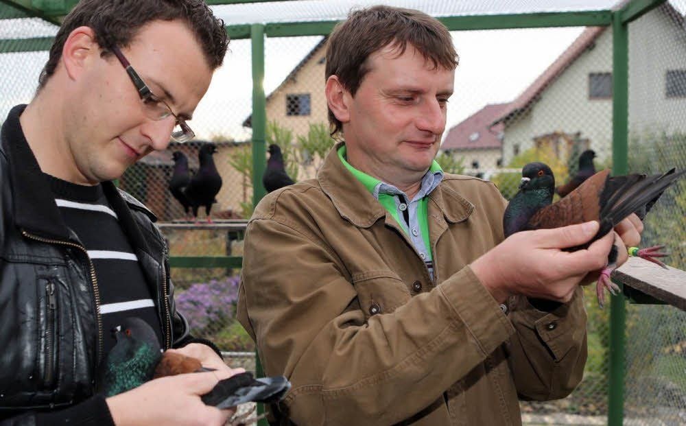 Der Borauer Christoph Raue (links) und Michael Wiesener aus Wengelsdorf gehören zu den Organisatoren der Modeneser-Sonderschau.