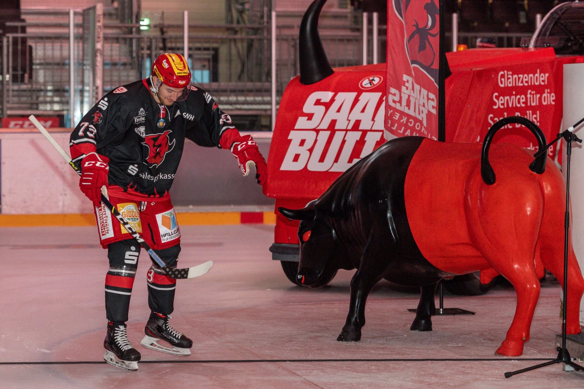 Die Saale Bulls stehen vor einem doppelten Test-Wochenende.
