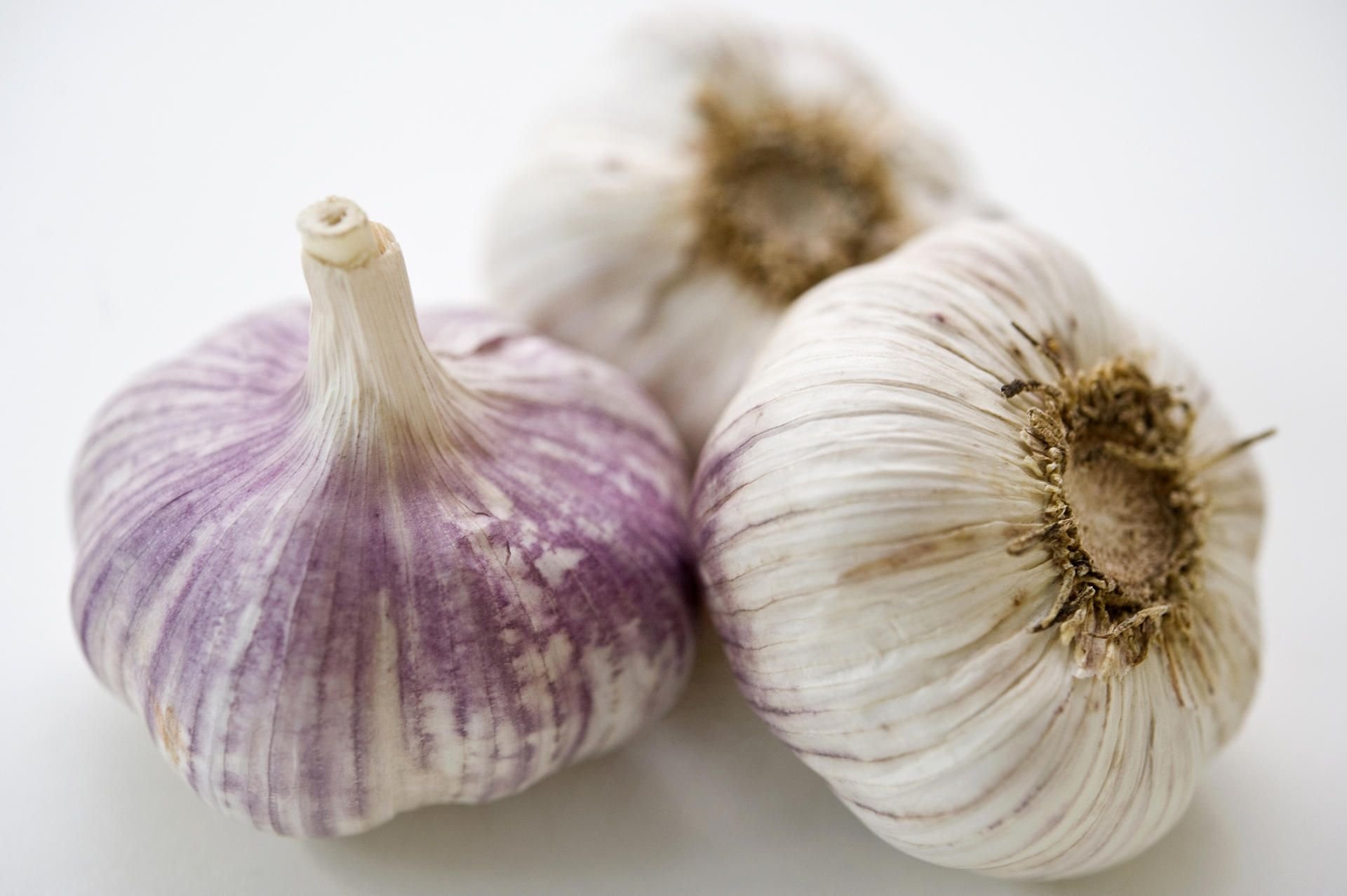 An der typischen Knoblauchfahne ist der Inhaltsstoff Allicin schuld. Das schwefelhaltige Öl wirkt unter anderem antibakteriell.