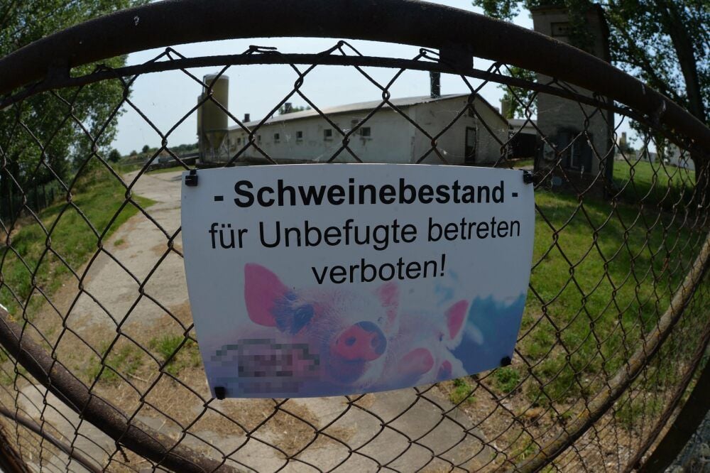 Statt Ferkel aufzuziehen, möchte der Betreiber künftig hier Schweine mästen.