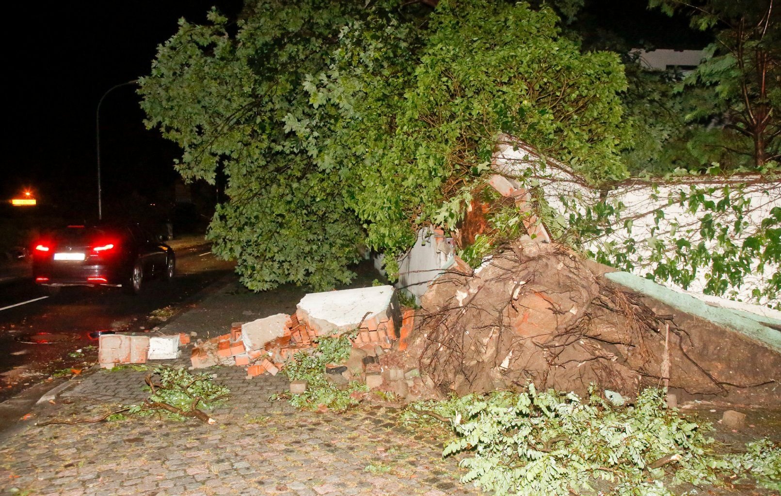 Äste und eine Mauer sind in der Salzmünder Straße in Halle durch den Sturm heruntergefallen.