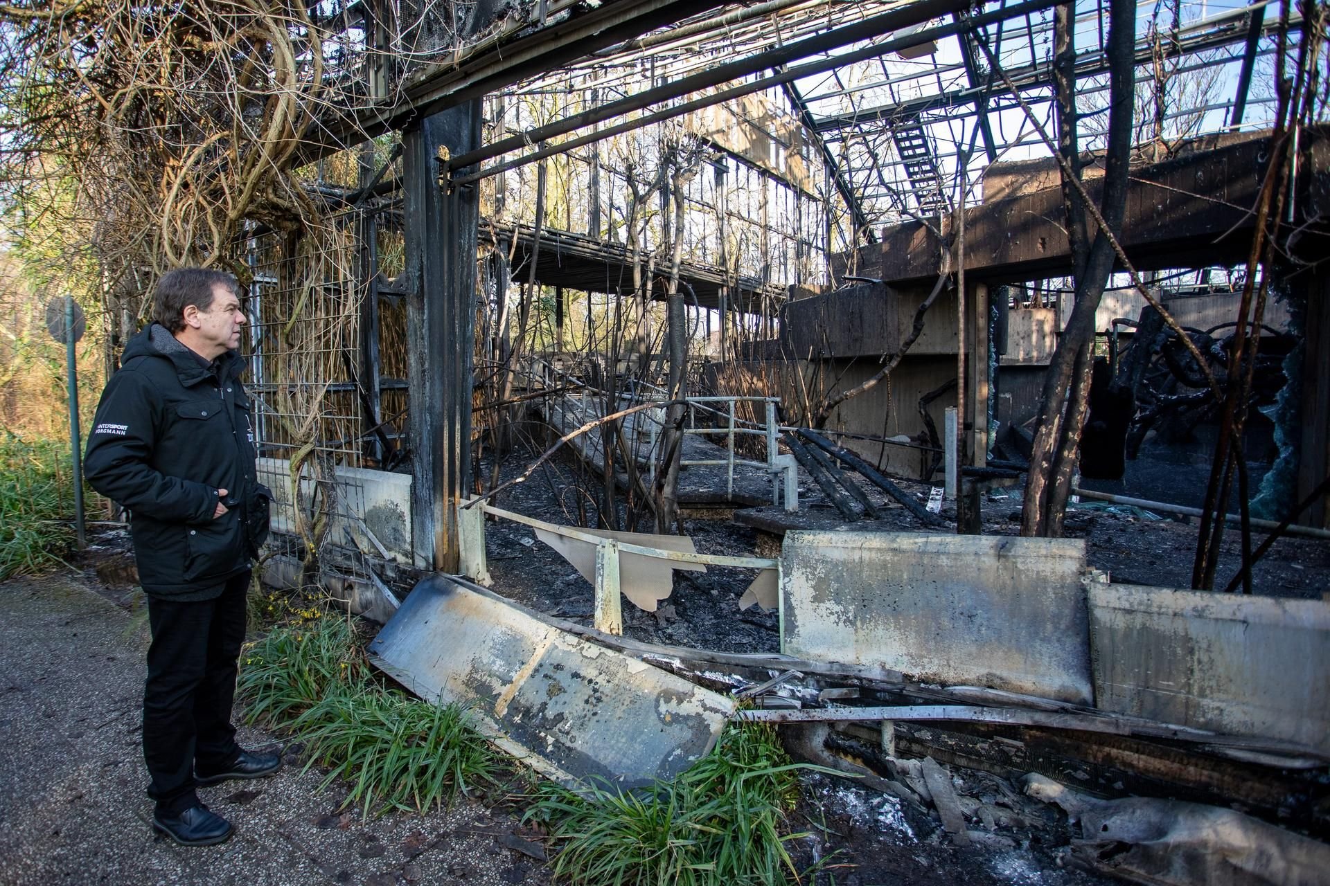 Vom Krefelder Affenhaus ist nur noch eine Ruine übrig.