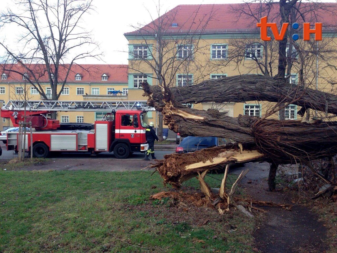 Einsatzkräfte in Halle