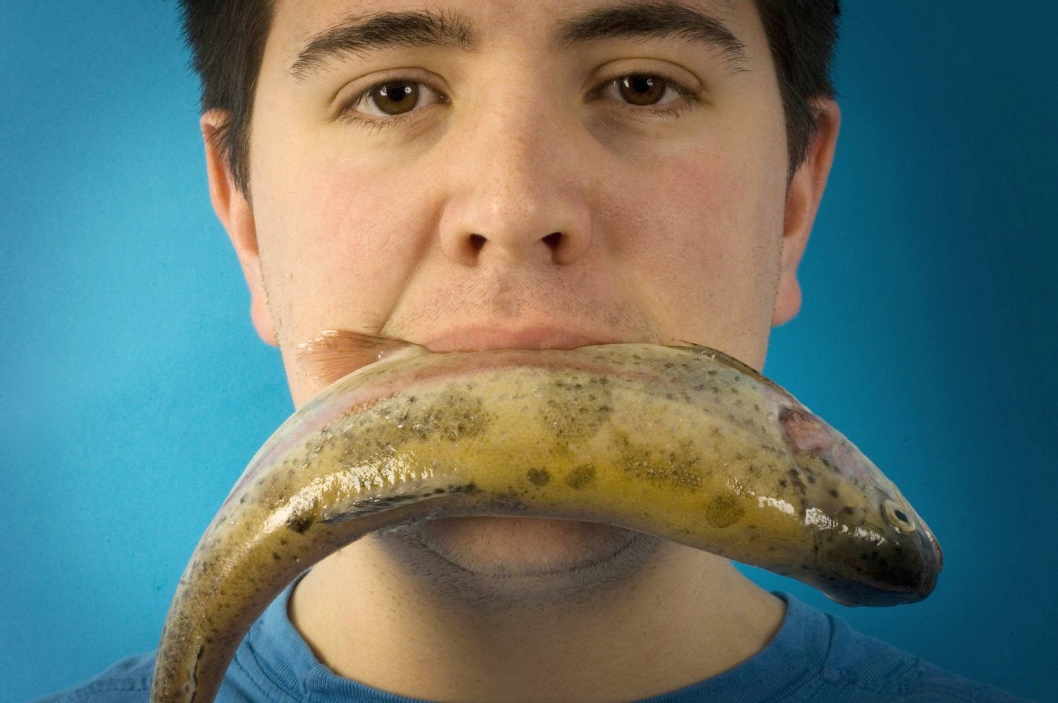 Fisch macht fröhlich: Die enthaltenen Omega-3-Fettsäuren sollen eine Depressionen vorbeugende und lindernde Wirkung haben.