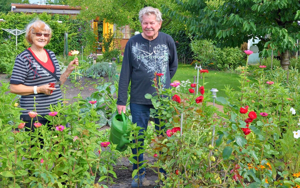 Silvia und Günter Bertram lieben ihren Kleingarten beim Verein ?Naturfreunde? in Stendal. Sie kümmern sich im Sommer täglich um ihre Blumen sowie um das Obst und Gemüse.