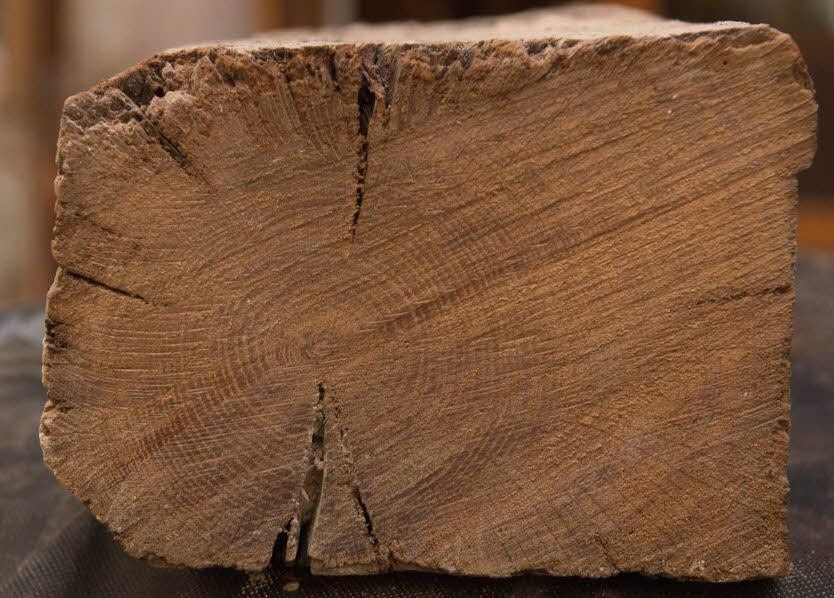 Gut zu sehen: die Jahresringe im Eichenbalken, der in der St. Sixtus Kirche verbaut ist. Die Eiche wurde vermutlich im 11. Jahrhundert gefällt.