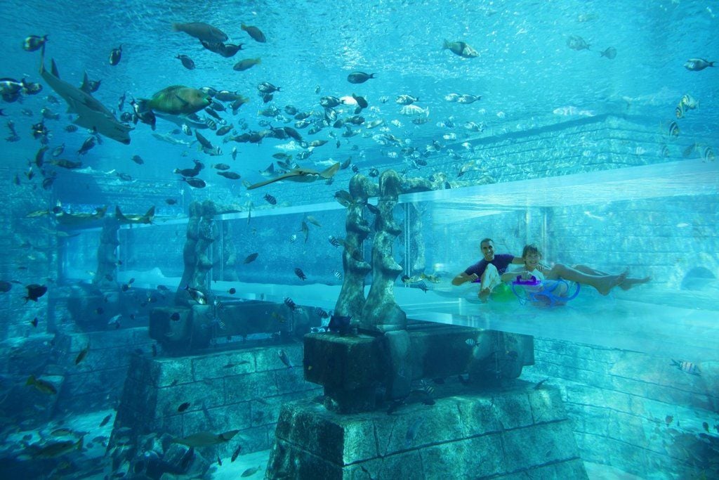 Im Hotel Atlantis The Palm sausen Urlauber durch eine spektakuläre Tunnelrutsche.