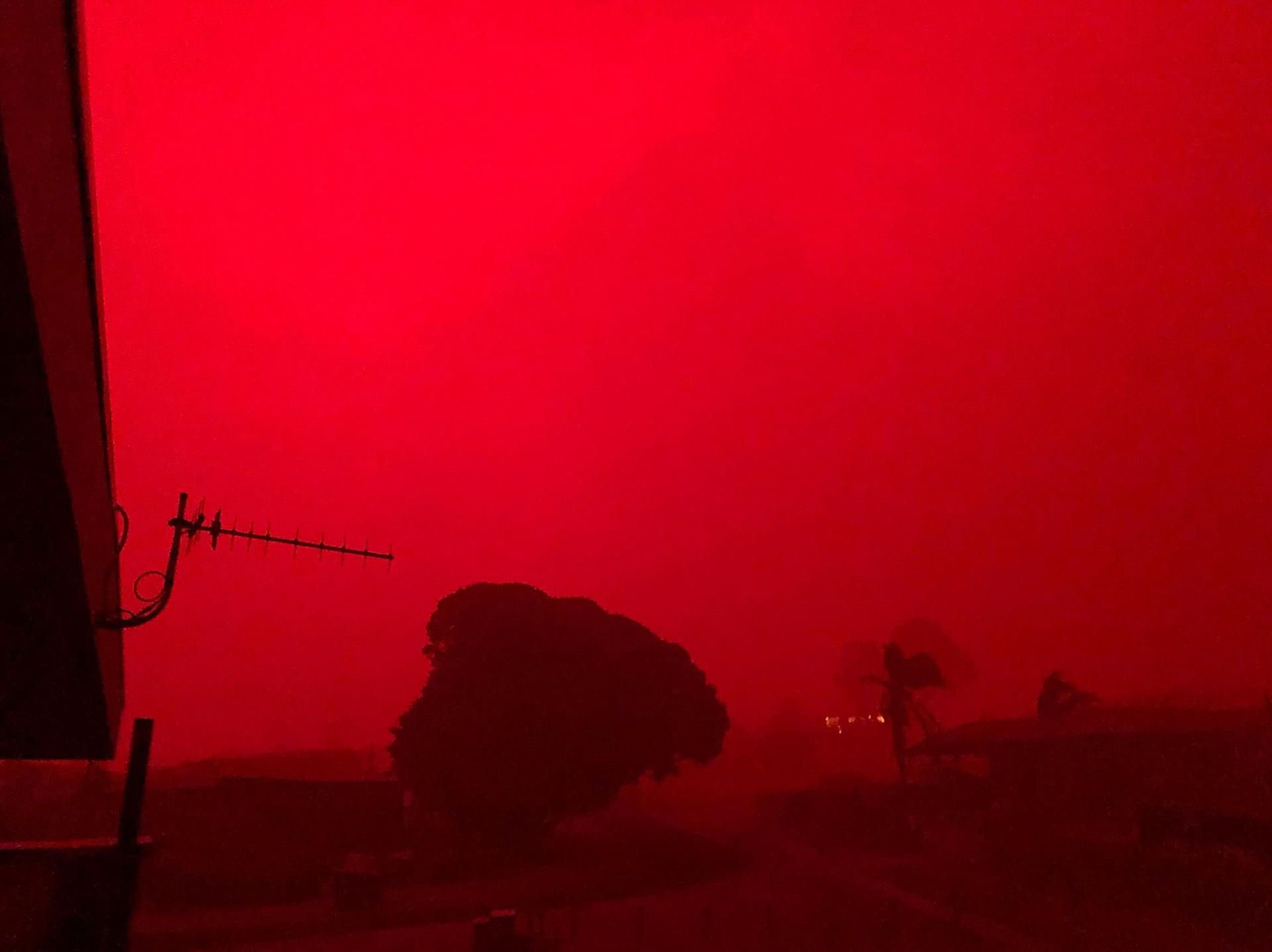 Der Himmel färbt rot während der Buschfeuer.