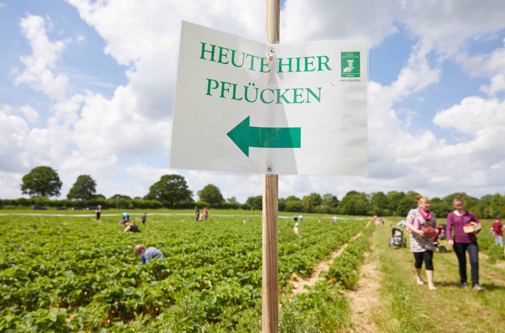 Bioprodukte werden immer beliebter in Deutschland, besonders der Einkauf beim Bauern.