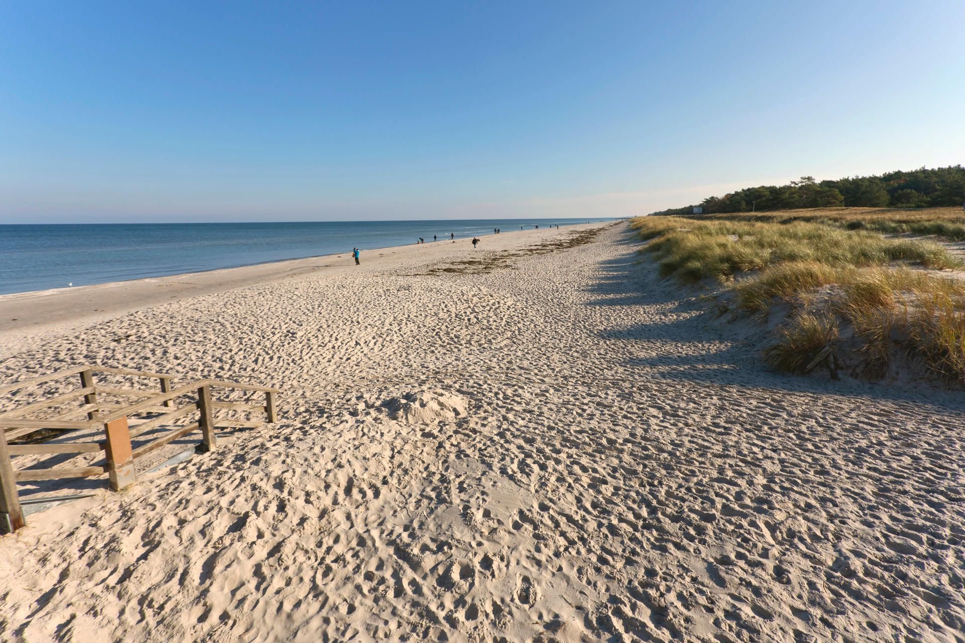 In der Ostsee vor Prerow auf dem Darß ist eine tote Frau gefunden worden.