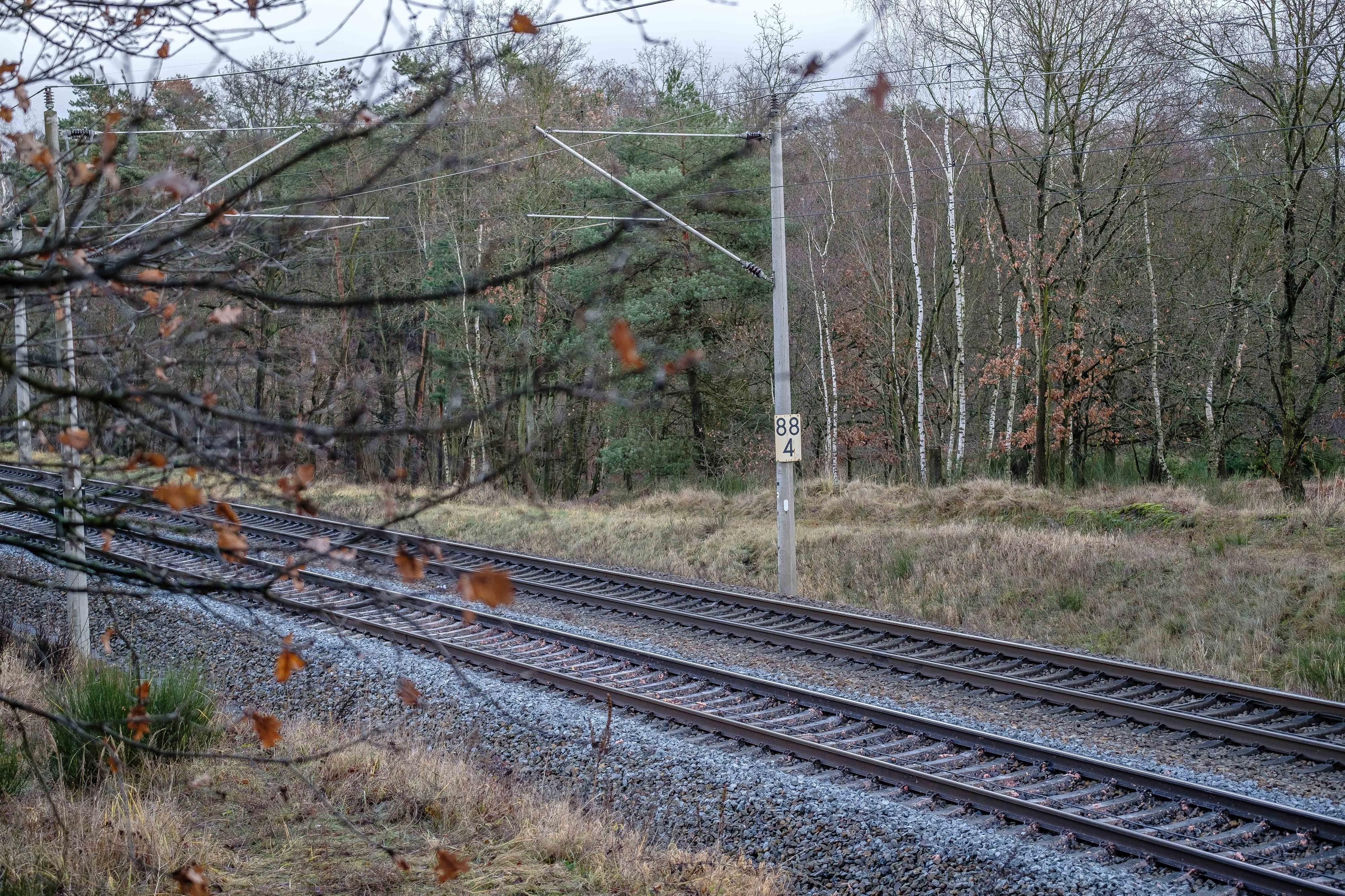 Die Bahnstrecke bei Bülzig. Hier passierte der ICE-Unfall