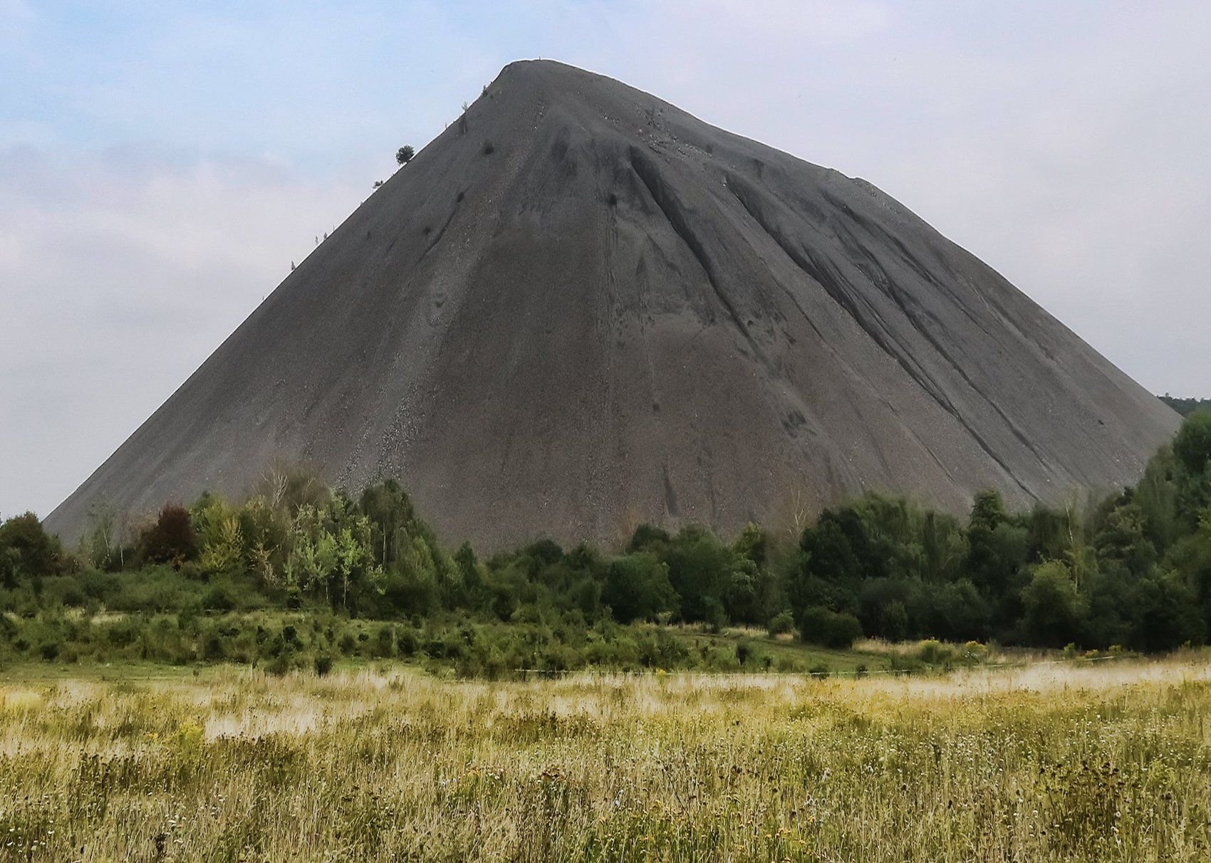Die Hohe Linde in Sangerhausen