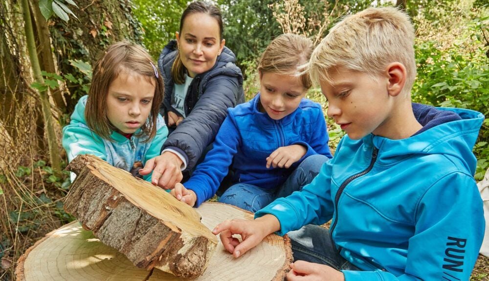 Franziska (v. li.), Tessa, Klassenlehrerin Friederike Kühn und Fynn zählen die Jahresringe der Robinie.