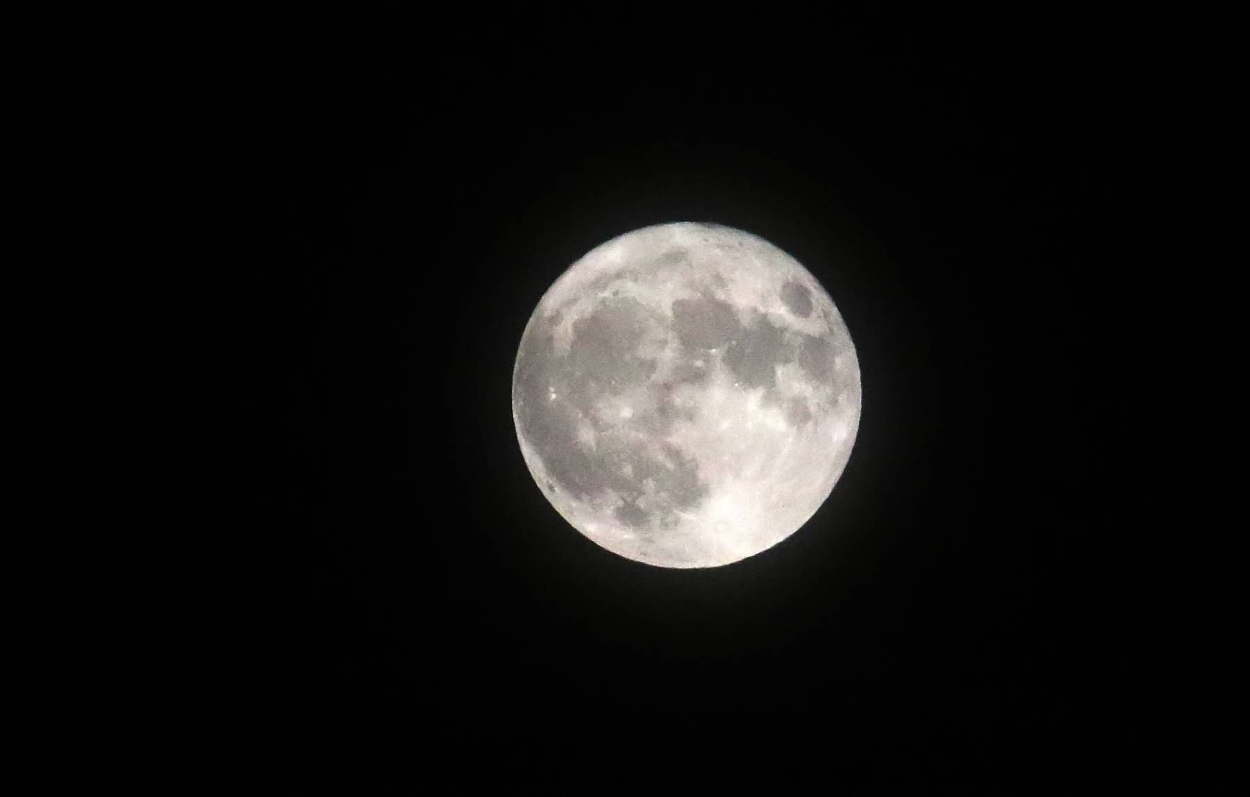 Diese Aufnahme machte Fotograf Maik Schumann in Sangerhausen.