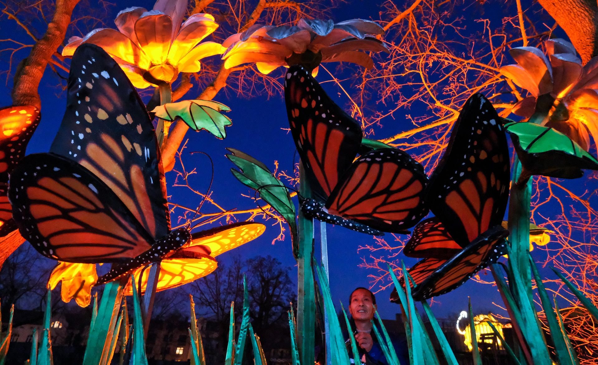 Magische Lichterwelten