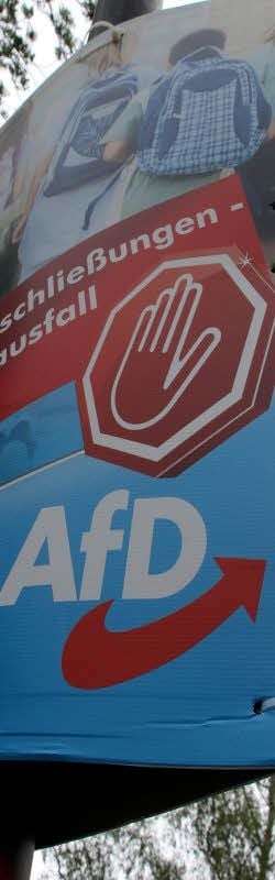Die AfD zieht als stärkste Partei in den Kreistag ein.