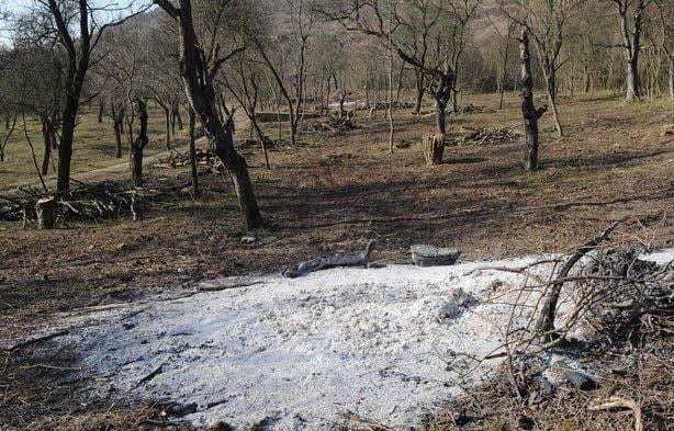 Im Naturschutzgebiet Hasenwinkel laufen laut Kreisverwaltung derzeit Pflegearbeiten.