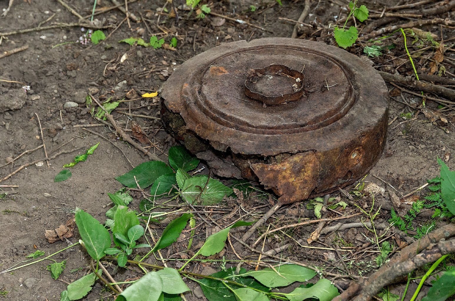 Die russische Panzermine, die in Leuna an der Saale entdeckt wurde.