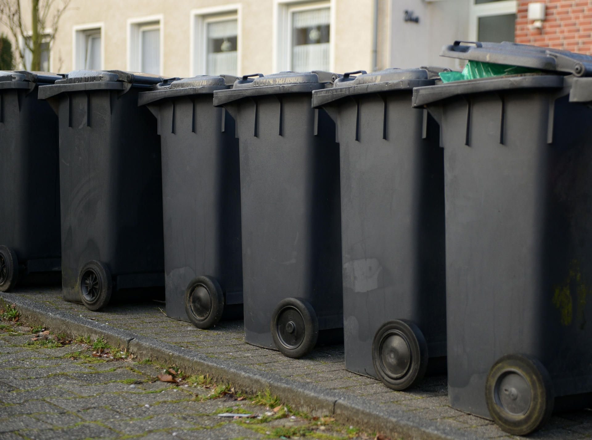 Im Salzlandkreis gibt es mehr Müll pro Kopf als in anderen Landkreisen.