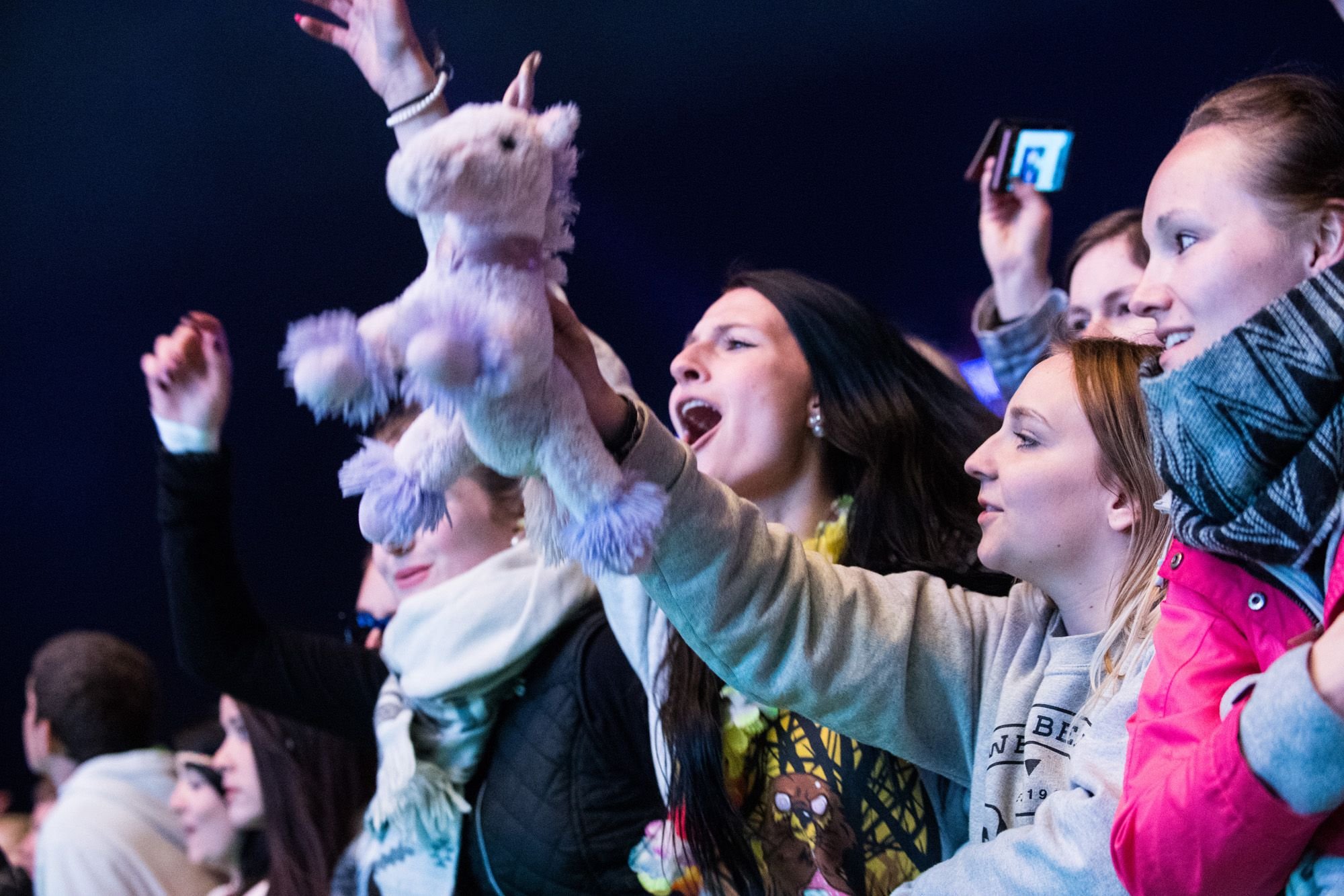 Festivalbesucher beim Auftritt von Bosse.