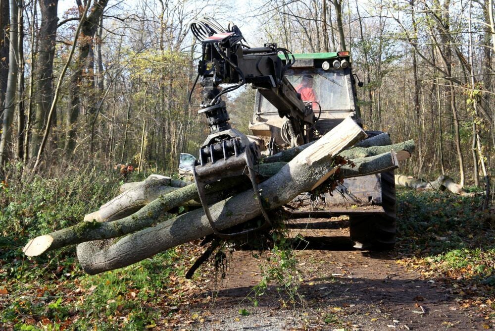 Marek Szafraniec räumt das Holz aus dem Weg.