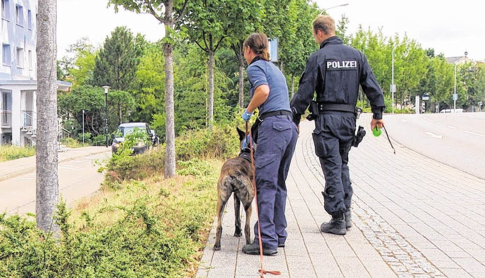 Am Mittwoch suchen Einsatzkräfte der Hundestaffel aus Dresden in Tatortnähe nach Spuren. In der Voßstraße war am Dienstag eine 18 Jahre alte Afghanin so schwer verletzt worden, dass sie später im Krankenhaus starb. Die Polizei hat den Tatverdächtigen in Frankfurt (Main) gefasst.