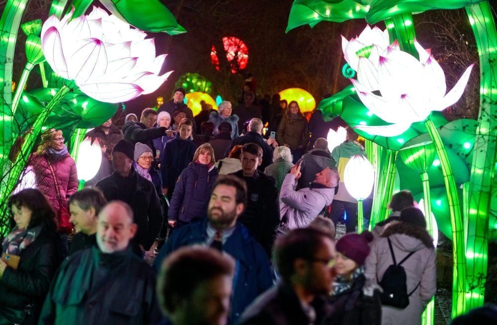 Sehr gut besucht, aber nie zu voll sind die Magischen Lichterwelten im Bergzoo bisher.