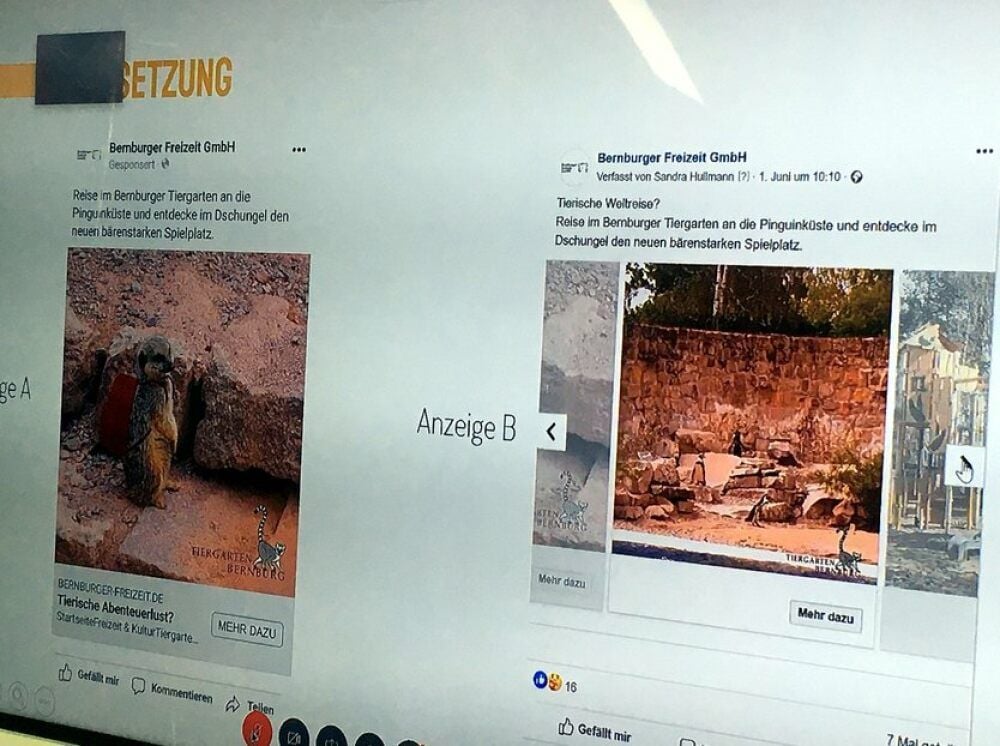 Das Erdmännchen mit dem Rucksack hat die Nutzer mehr angesprochen als die Fotos rechts, die sich wie auf einem Karussell drehen.
