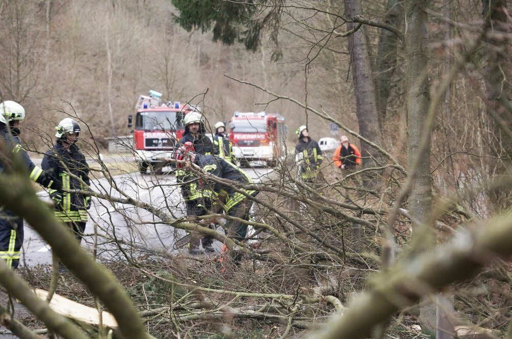 Die Straße bei Alexisbad wird von der Feuerwehr beräumt.