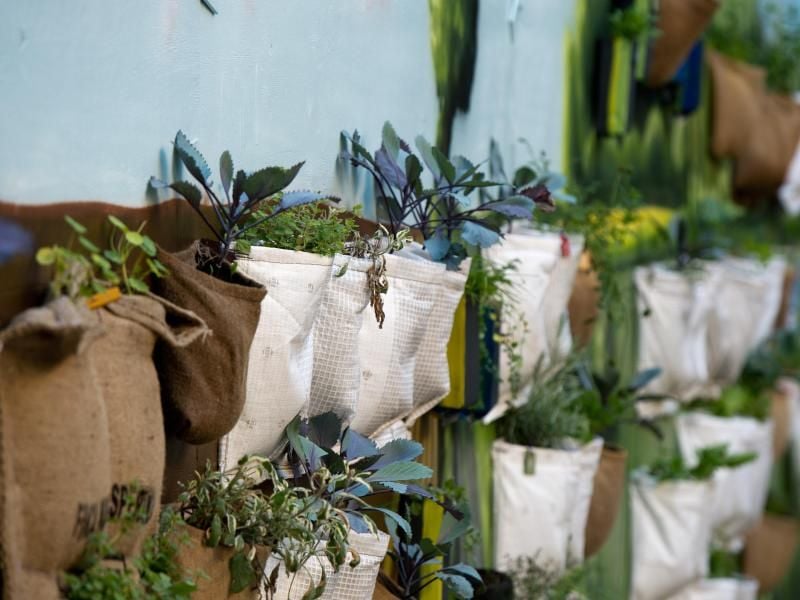 Urban Gardening liegt im Trend - und schafft künftig vermutlich ein ganz neues Berufsbild.