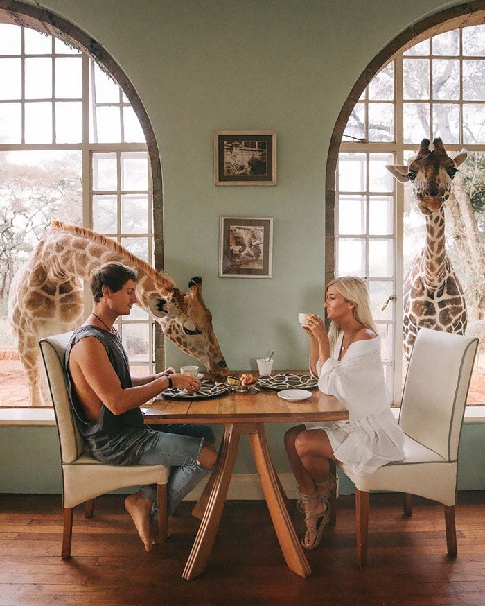 Gäste am Frühstückstisch: Jack Morris und Lauren Bullen mit Giraffen.