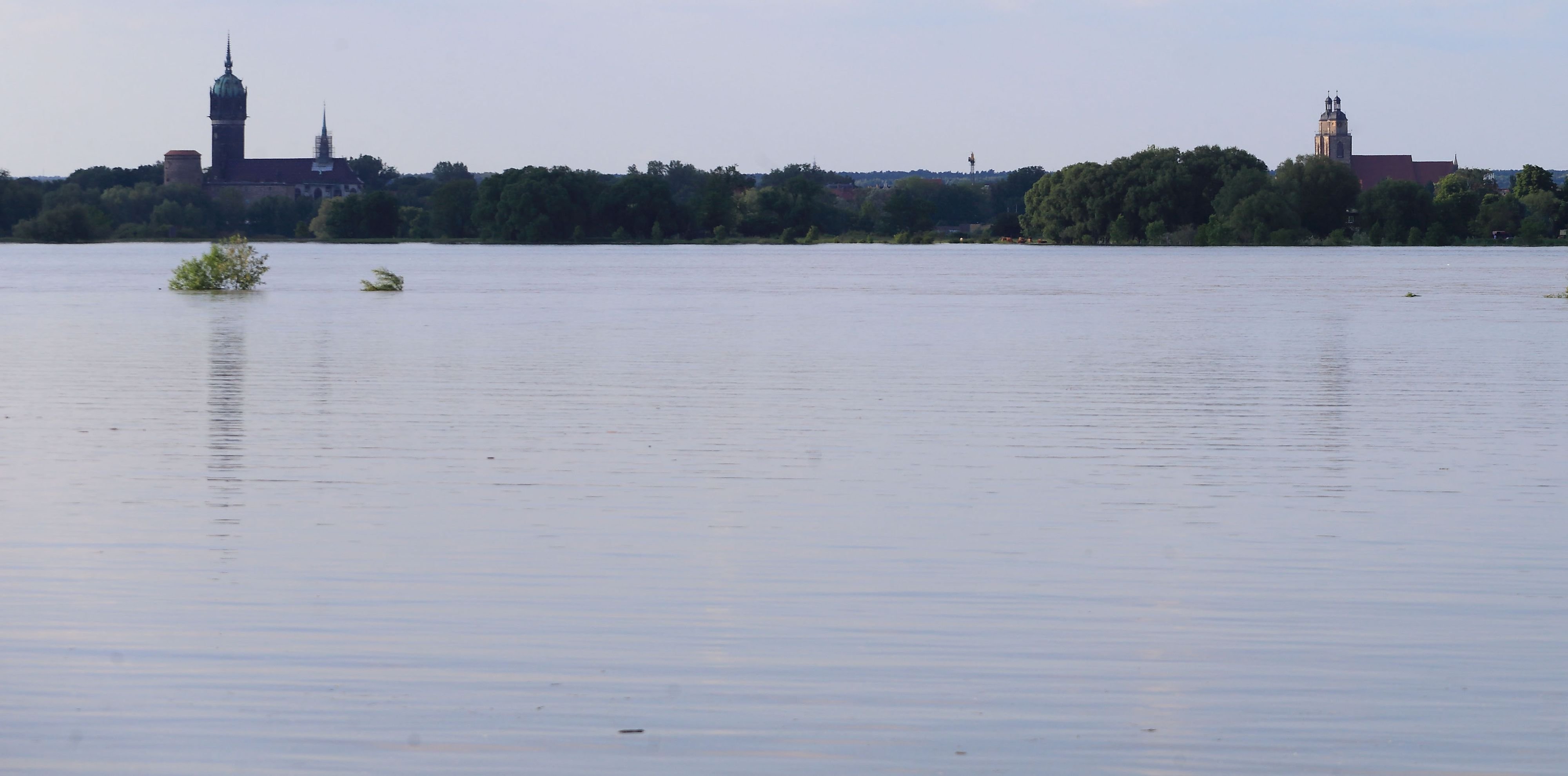 Die überschwemmte Flussaue der Elbe, aufgenommen am 6. Juni 2013 vor der Lutherstadt Wittenberg.